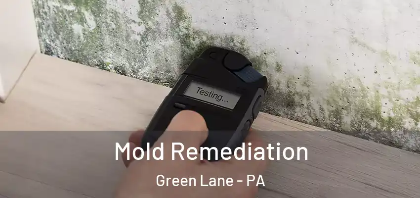 Mold Remediation Green Lane - PA