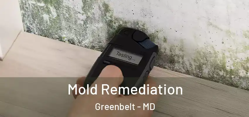 Mold Remediation Greenbelt - MD