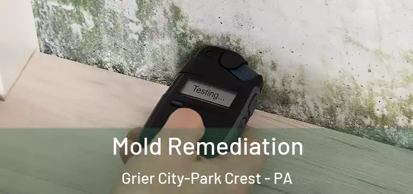 Mold Remediation Grier City-Park Crest - PA