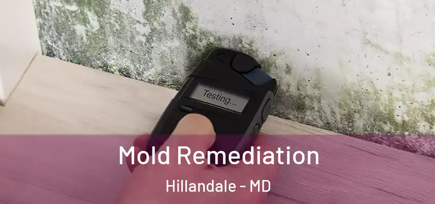 Mold Remediation Hillandale - MD