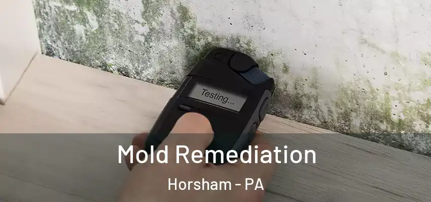 Mold Remediation Horsham - PA