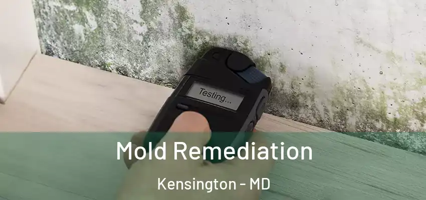 Mold Remediation Kensington - MD