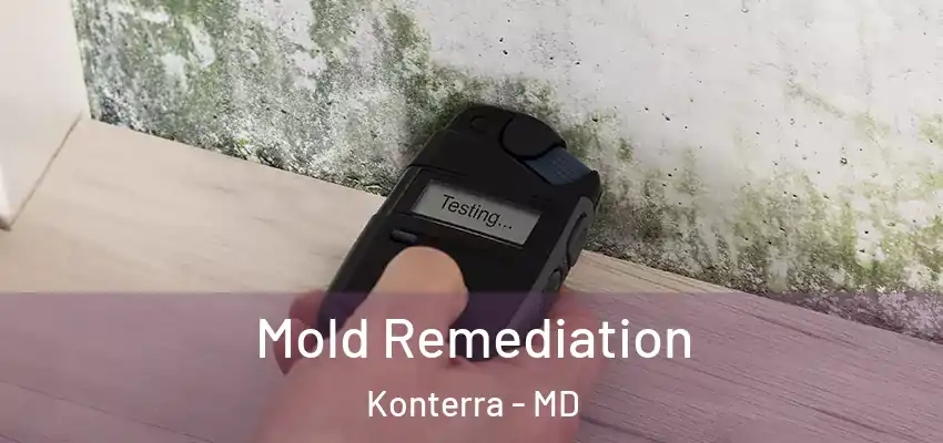 Mold Remediation Konterra - MD