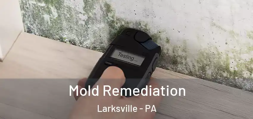Mold Remediation Larksville - PA
