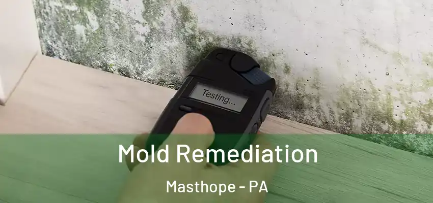 Mold Remediation Masthope - PA