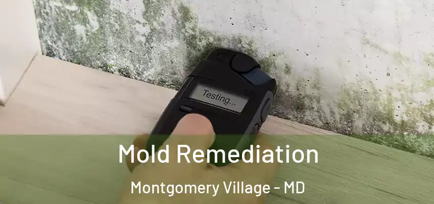 Mold Remediation Montgomery Village - MD