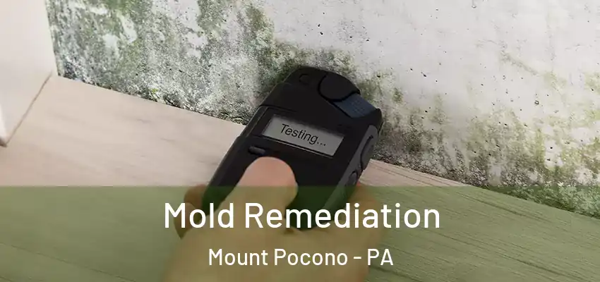 Mold Remediation Mount Pocono - PA