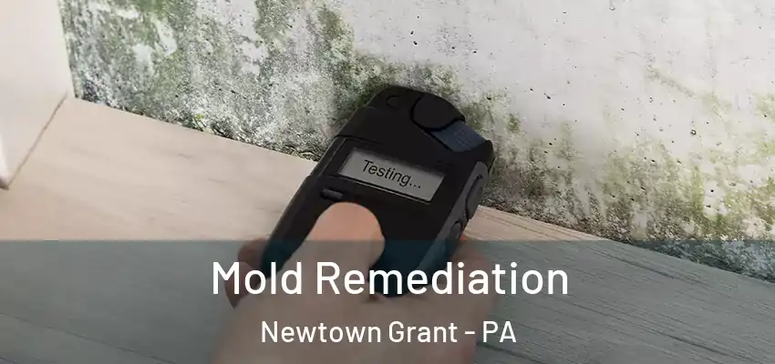 Mold Remediation Newtown Grant - PA