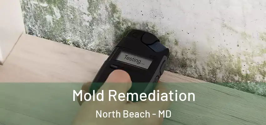 Mold Remediation North Beach - MD