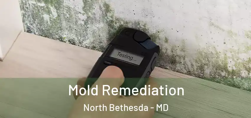 Mold Remediation North Bethesda - MD