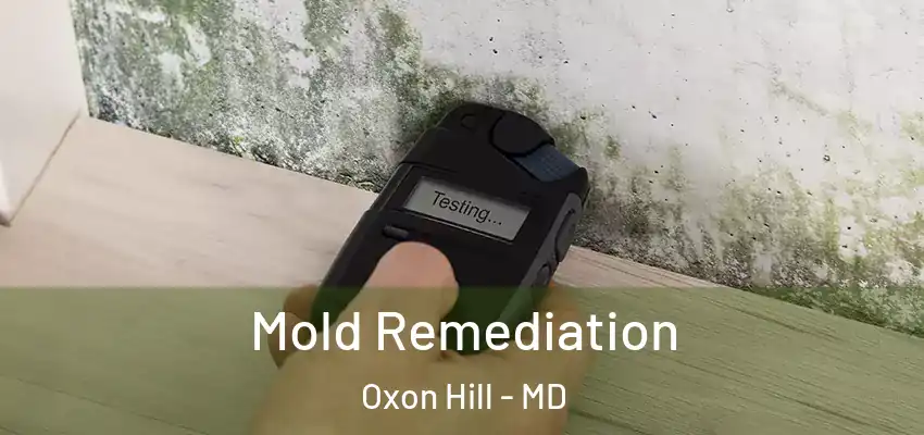 Mold Remediation Oxon Hill - MD