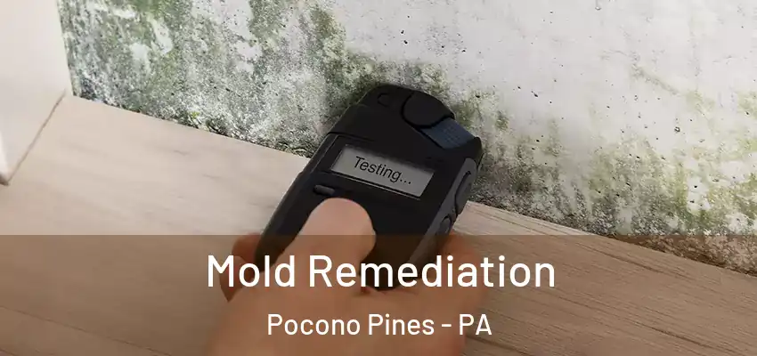 Mold Remediation Pocono Pines - PA