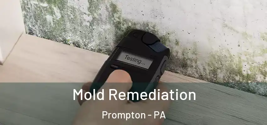Mold Remediation Prompton - PA