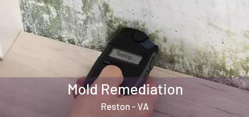 Mold Remediation Reston - VA