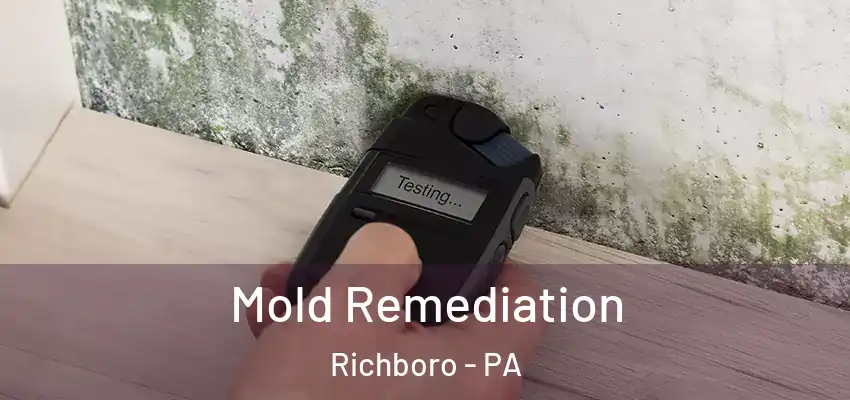 Mold Remediation Richboro - PA