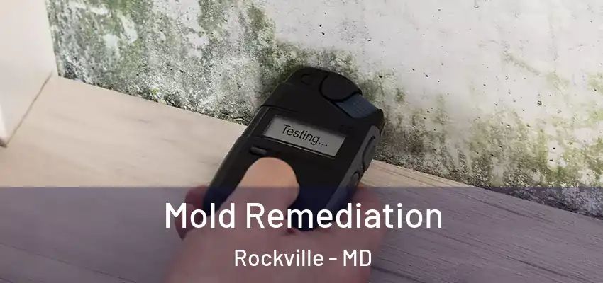 Mold Remediation Rockville - MD