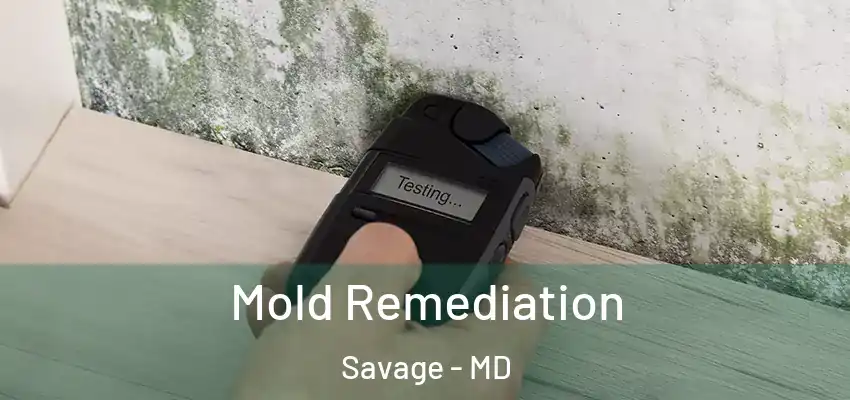  Mold Remediation Savage - MD