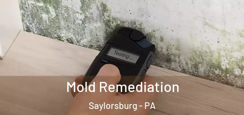 Mold Remediation Saylorsburg - PA