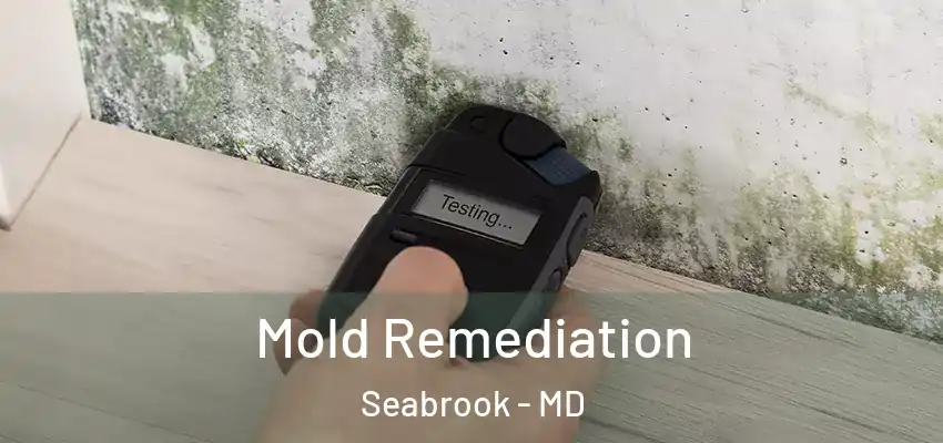  Mold Remediation Seabrook - MD