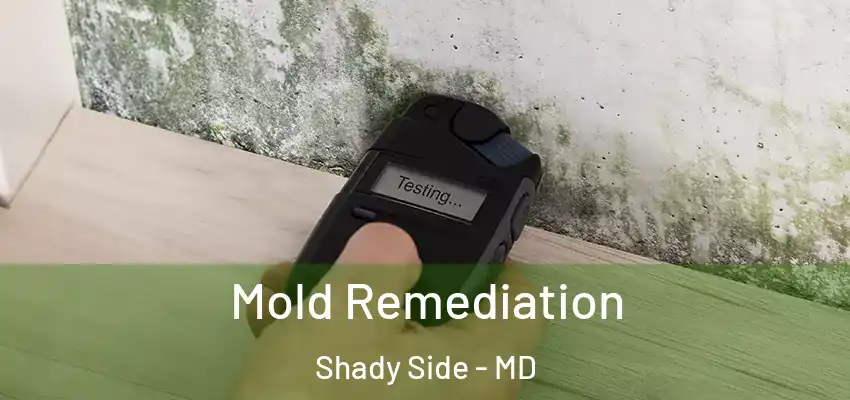 Mold Remediation Shady Side - MD