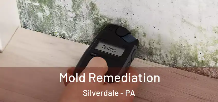 Mold Remediation Silverdale - PA