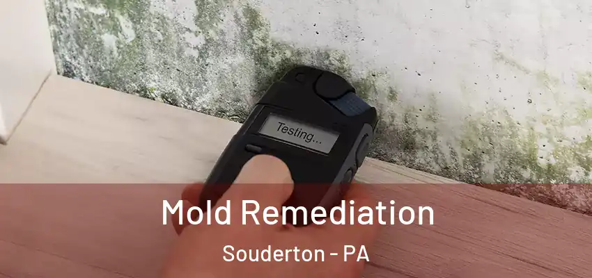 Mold Remediation Souderton - PA