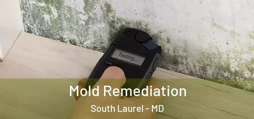 Mold Remediation South Laurel - MD