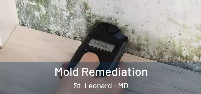 Mold Remediation St. Leonard - MD