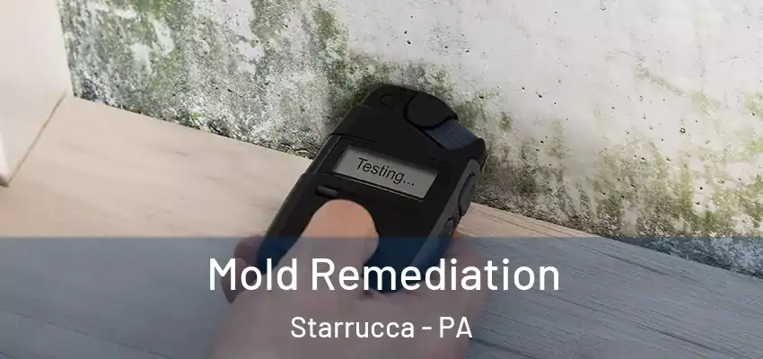 Mold Remediation Starrucca - PA