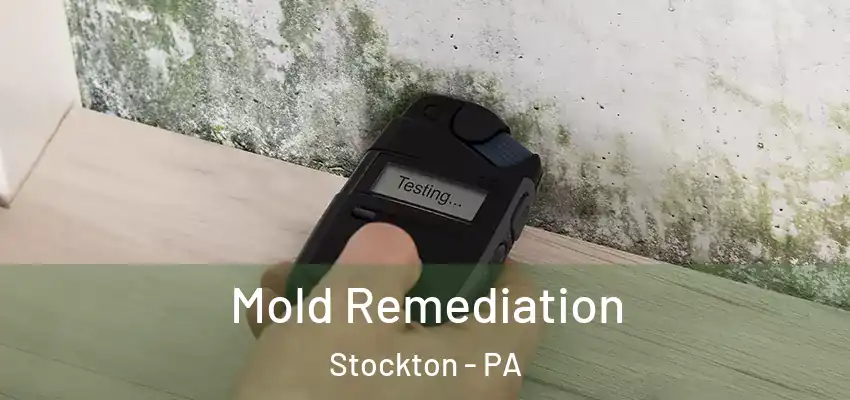 Mold Remediation Stockton - PA
