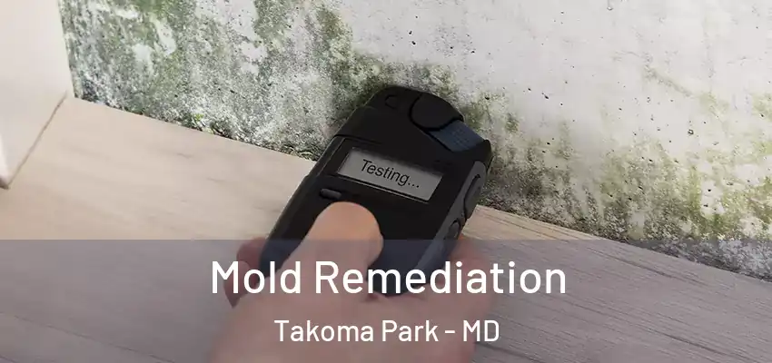 Mold Remediation Takoma Park - MD