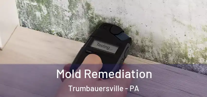 Mold Remediation Trumbauersville - PA