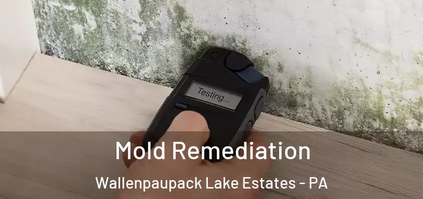 Mold Remediation Wallenpaupack Lake Estates - PA