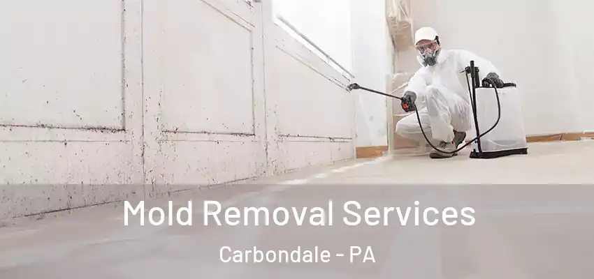 Mold Removal Services Carbondale - PA