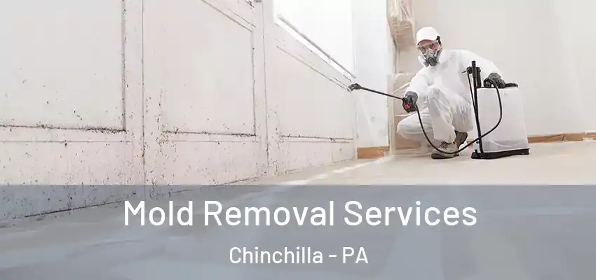 Mold Removal Services Chinchilla - PA