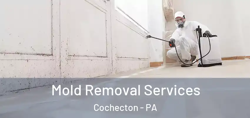 Mold Removal Services Cochecton - PA
