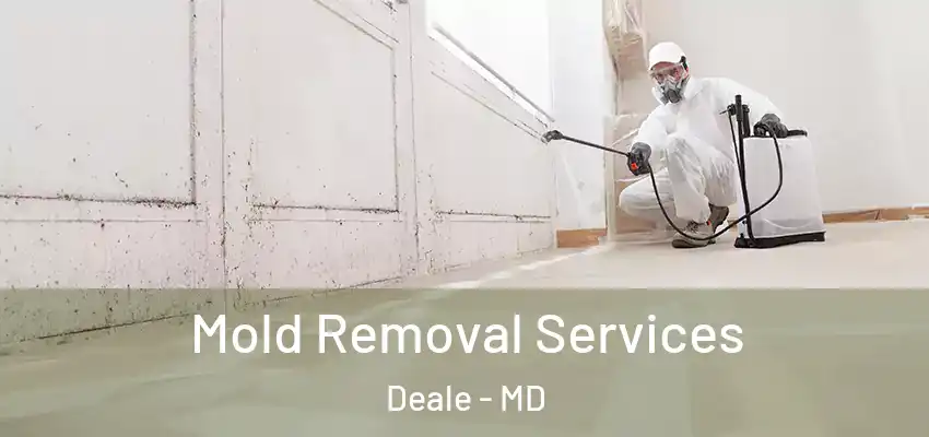 Mold Removal Services Deale - MD
