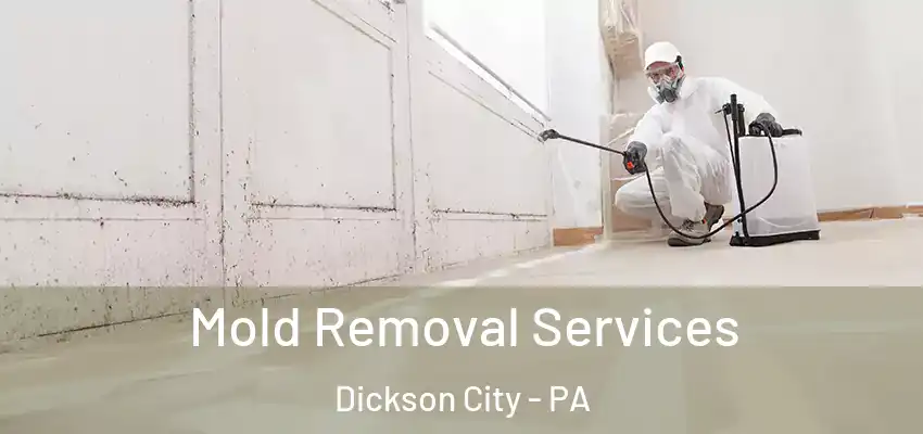  Mold Removal Services Dickson City - PA