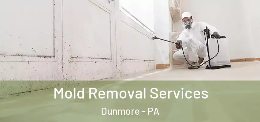 Mold Removal Services Dunmore - PA