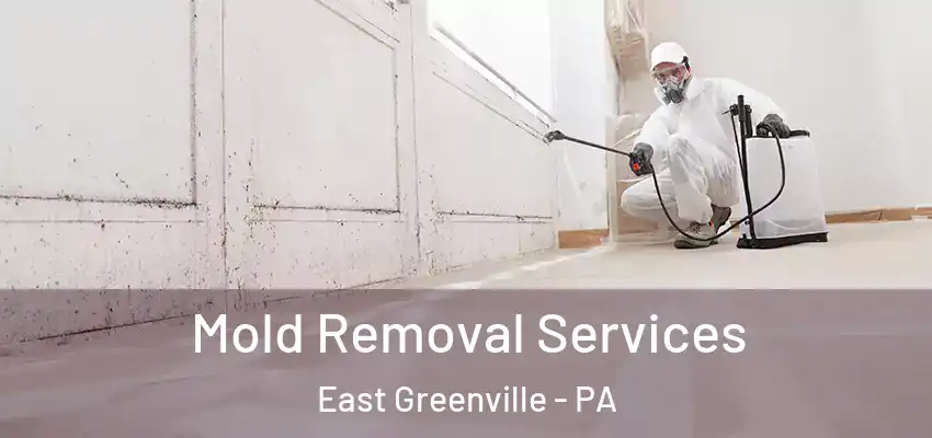 Mold Removal Services East Greenville - PA