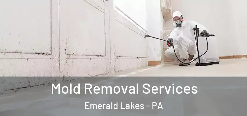 Mold Removal Services Emerald Lakes - PA