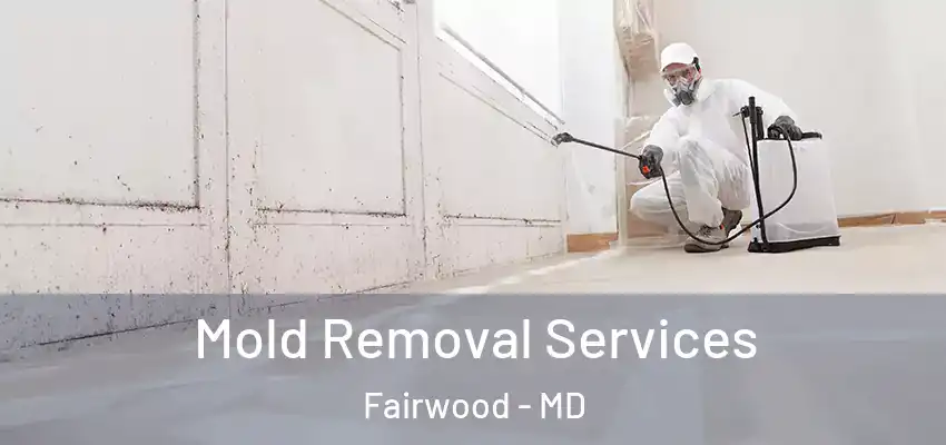 Mold Removal Services Fairwood - MD