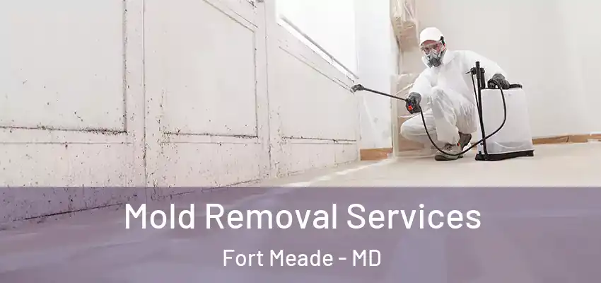 Mold Removal Services Fort Meade - MD