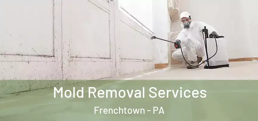 Mold Removal Services Frenchtown - PA