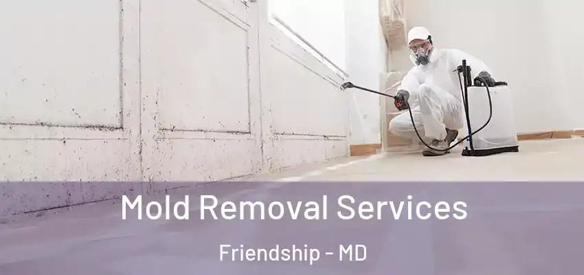  Mold Removal Services Friendship - MD