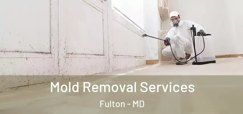 Mold Removal Services Fulton - MD