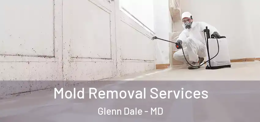 Mold Removal Services Glenn Dale - MD