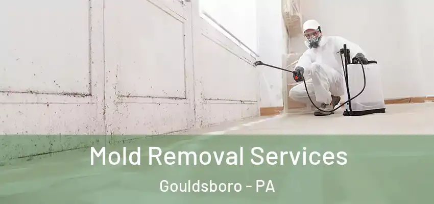 Mold Removal Services Gouldsboro - PA