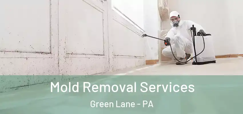 Mold Removal Services Green Lane - PA