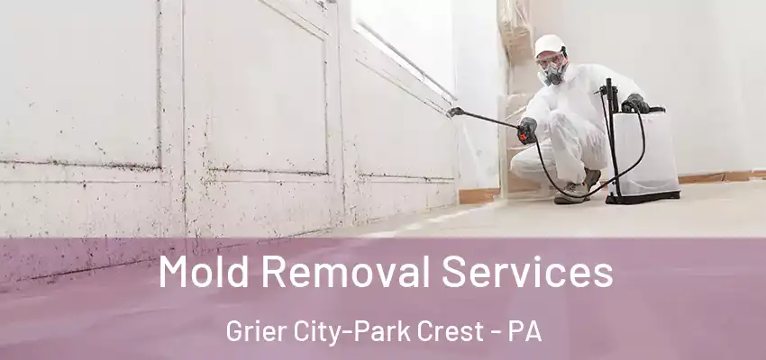 Mold Removal Services Grier City-Park Crest - PA